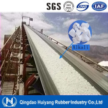 Acid/Alkali Resistant Ep/Cc/Nn Rubber Conveyor Belt